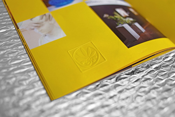 企業(yè)畫冊設(shè)計(jì)應(yīng)該展示哪些方面？